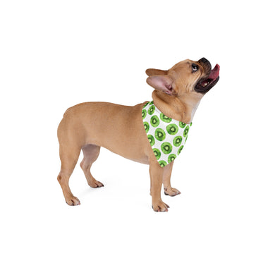 Kiwi Fruit Pet Bandana | Tropical Summer Dog Accessory