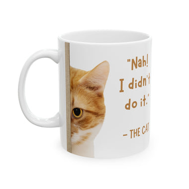 Whimink I didnt do it - Cat