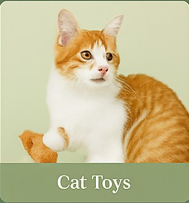 Cat Toys