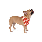 Scarlet Bloom Pet Bandana