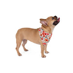 Flamingo Fiesta Pet Bandana
