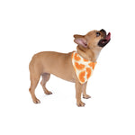 Zesty Orange Slices Dog Bandana
