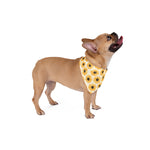 Sunny Pet Bandana