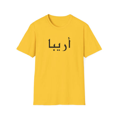 Arabic Name Women Softstyle T-Shirt - Areeba