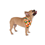 Vintage Pop Pet Bandana