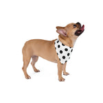Classic Charm Polka Dog Bandana
