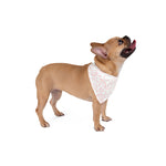 Soft Hues Style Pet Bandana