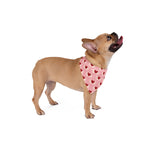 Sweetheart Pup Bandana