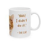Whimink I didnt do it - Cat