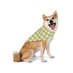 Evergreen Striped Bandana