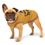 "All I Want Is Treats" Knitted Dog Sweater | Brown & Mustard Pet Pullover Back-Print