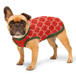 Christmas Ribbon Knitted Dog Sweater | Red Holiday Pet Pullover with Green Borders Back Print