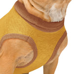 "All I Want Is Treats" Knitted Dog Sweater | Brown & Mustard Pet Pullover Back-Print