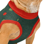 "I'm The Real Santa" Christmas Dog Sweater | Green Holiday Pet Pullover with Red Borders | Back-Print